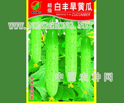 超级白丰